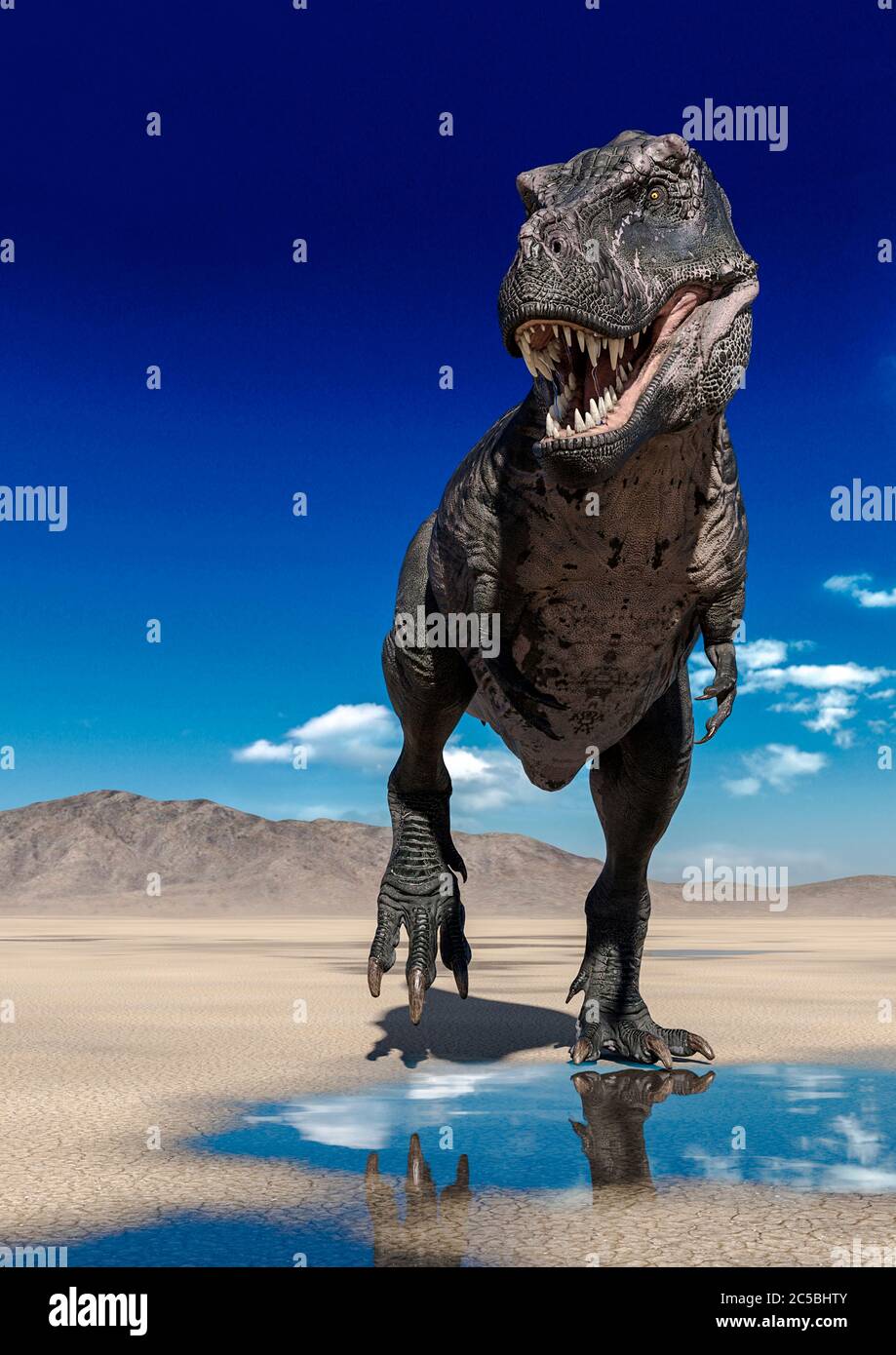 tyrannosaurus rex is walking on desert, 3d illustration Stock Photo