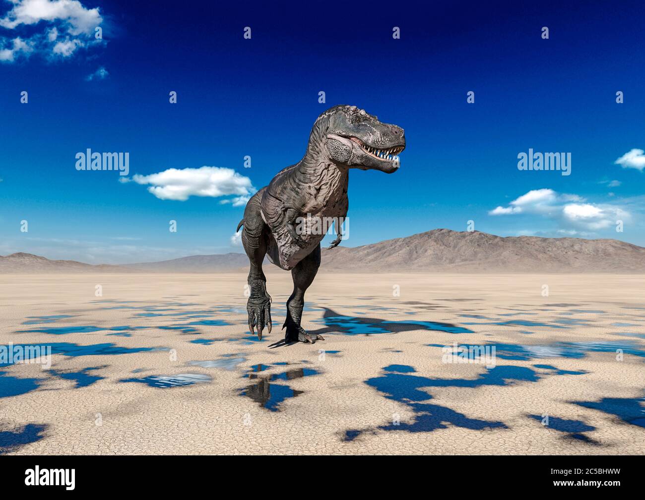 tyrannosaurus rex walking alone on desert, 3d illustration Stock Photo