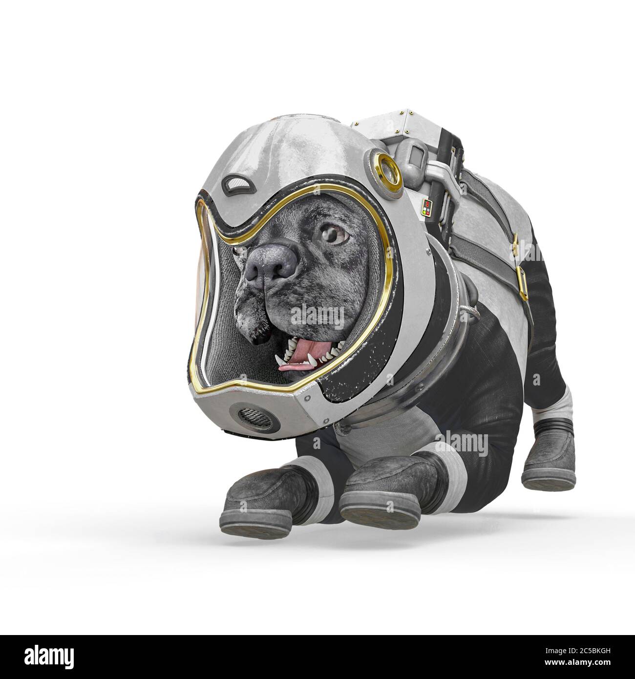 dog the astronaut is ready to play in white background, 3d illustration ...