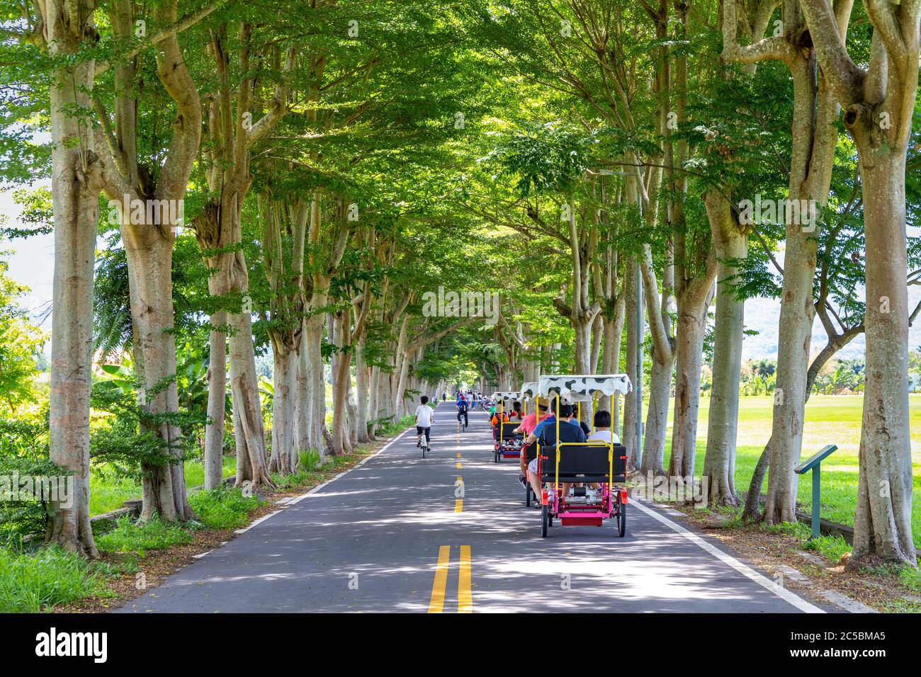 Many tourists ride electric tricycles on Luye Longtian bike district, Taitung, Taiwan Stock Photo