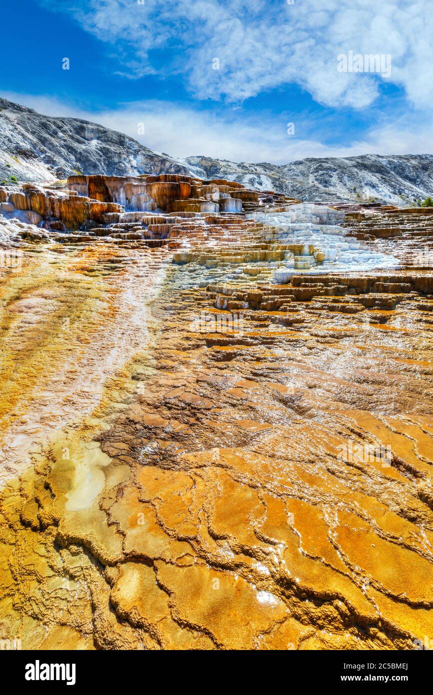 Jupiter and Mound Terraces at Mammoth Hot Springs in Yellowstone National Park, where travertine formations and flowing hot water shape the surreal la Stock Photo