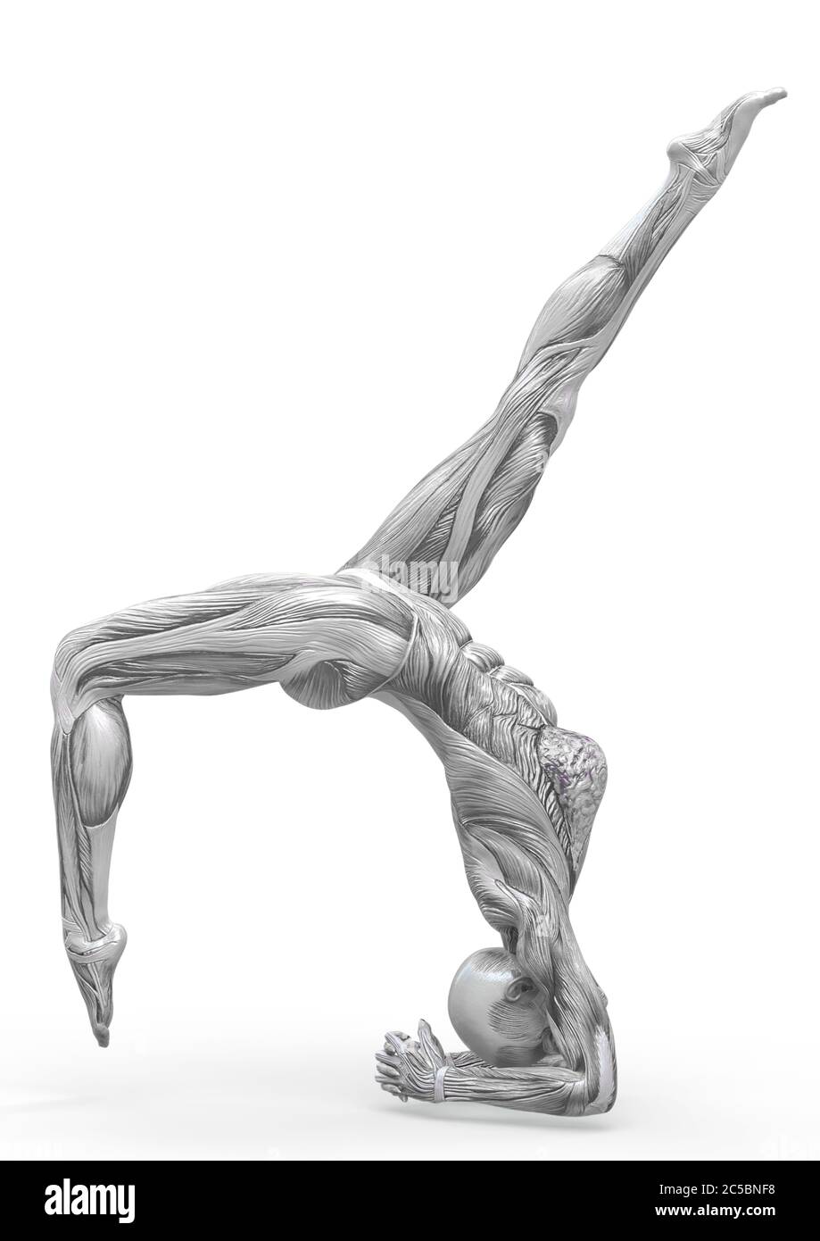 muscle woman doing a scorpion with crow variation pose in white background, 3d illustration Stock Photo