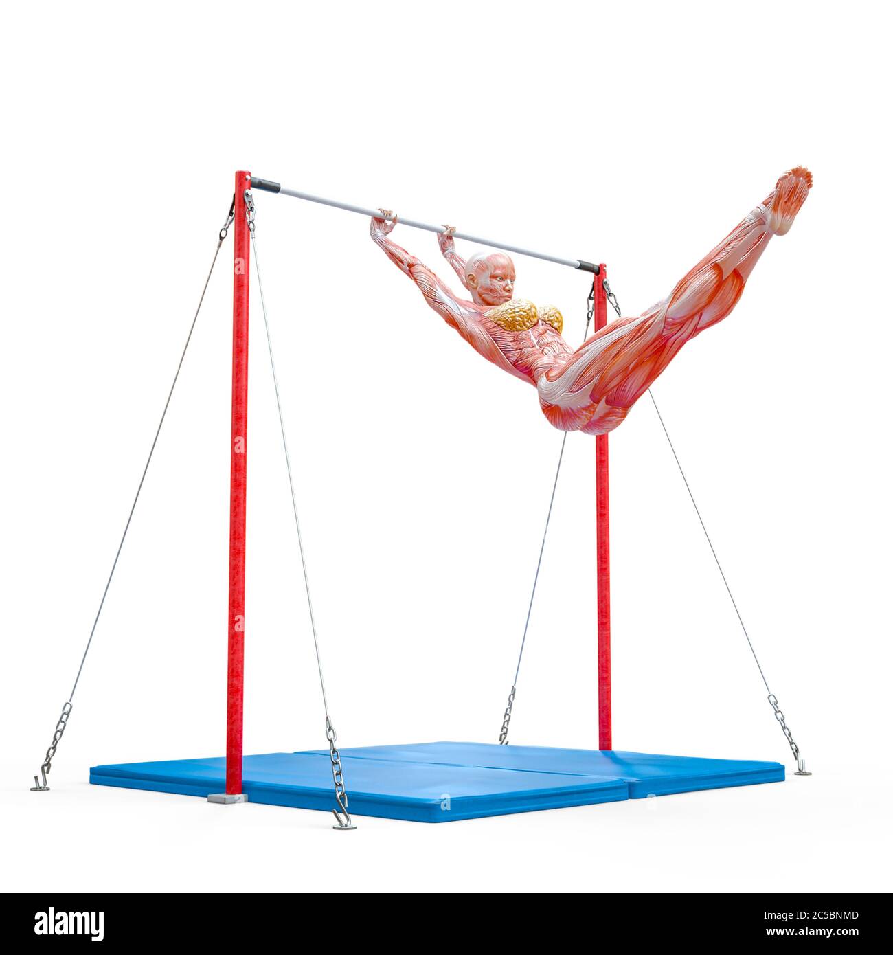 Muscle Woman Doing A Gymnastic On Horizontal Bar Pose Two In White Background Close Up 3d