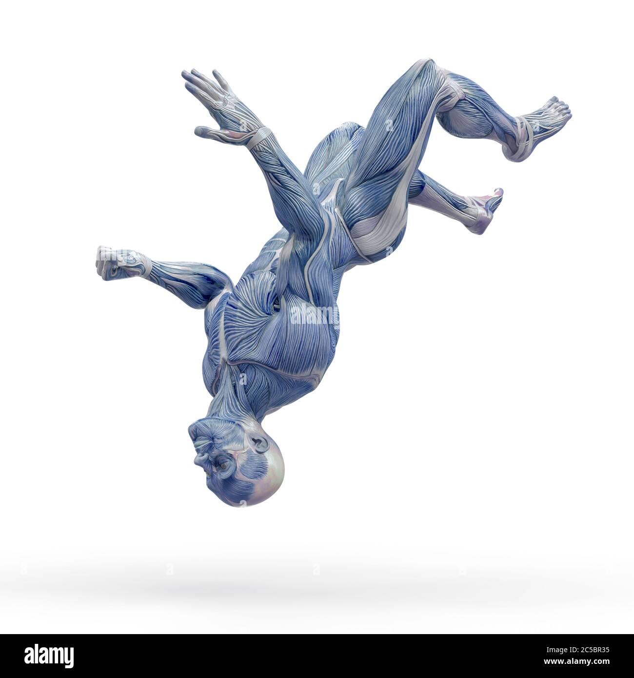 muscleman anatomy heroic body parkour jump pose three in white