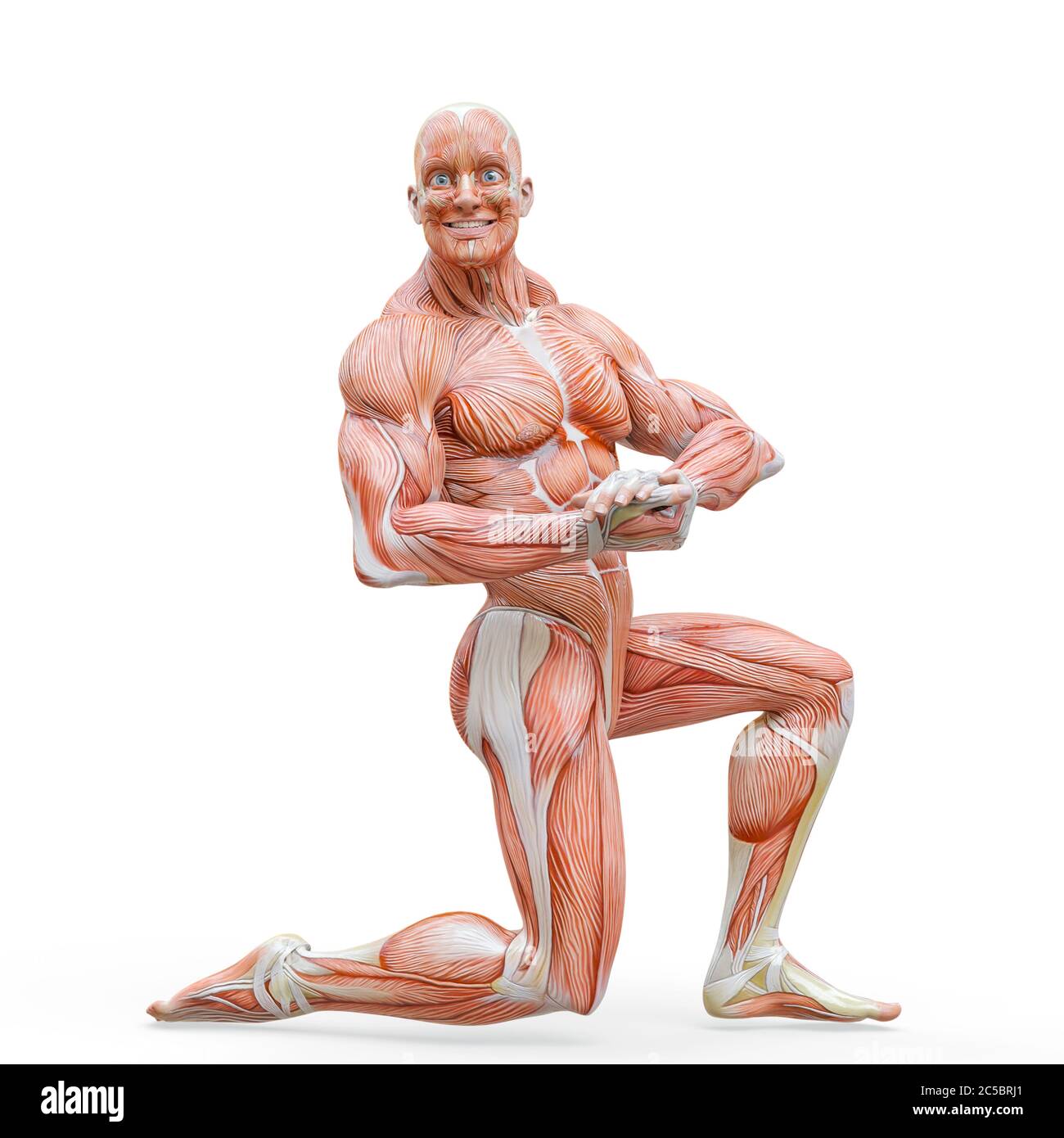muscleman anatomy heroic body doing a bodybuilder pose five in white