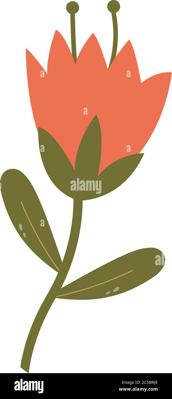 Isolated beauty flower Stock Vector