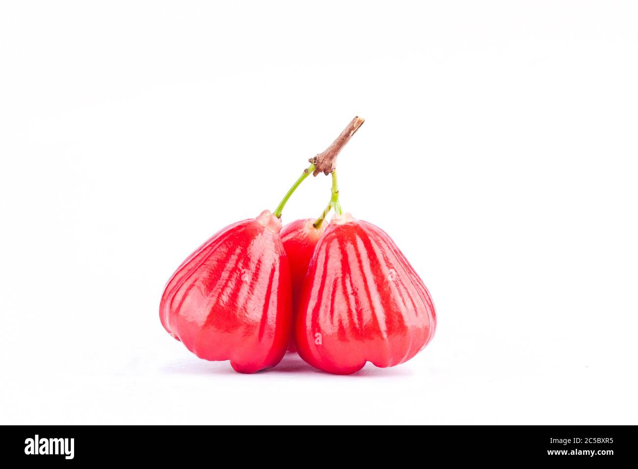 red rose apple ( chomphu ) have sweet taste fruit on white background