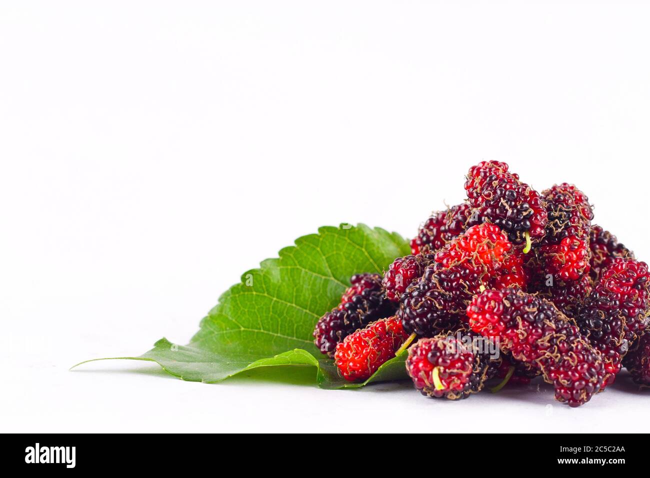 mulberry berry with leaf on white background healthy mulberry fruit food isolated Stock Photo