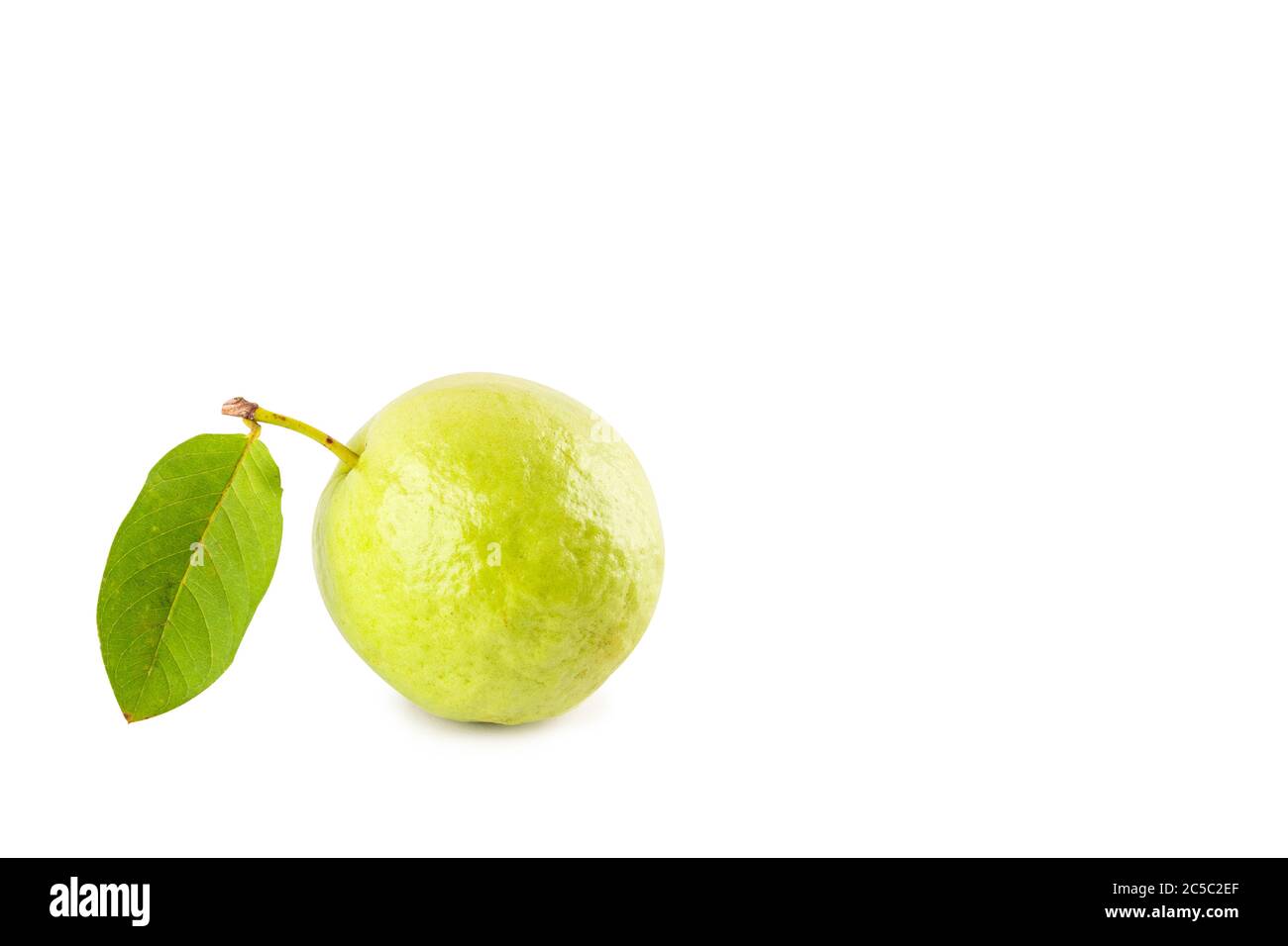 green guava fruit on white background fruit agriculture food isolated Stock Photo