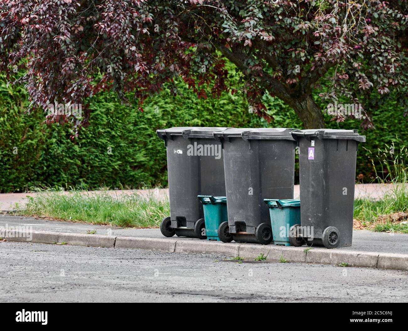 Black bins with unrecyclable rubbish, alongside green bins with waste