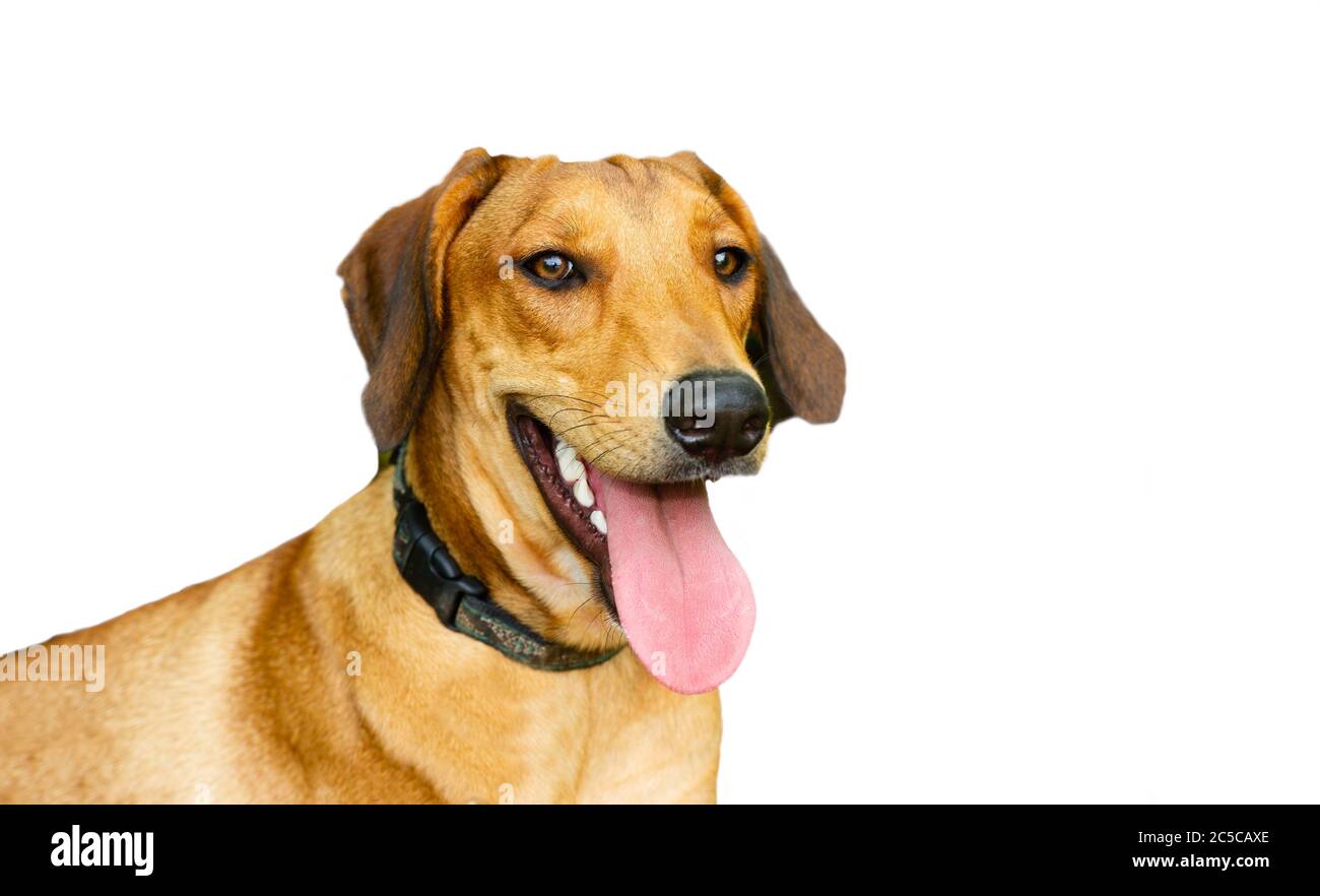 Blog, image size:1300x882