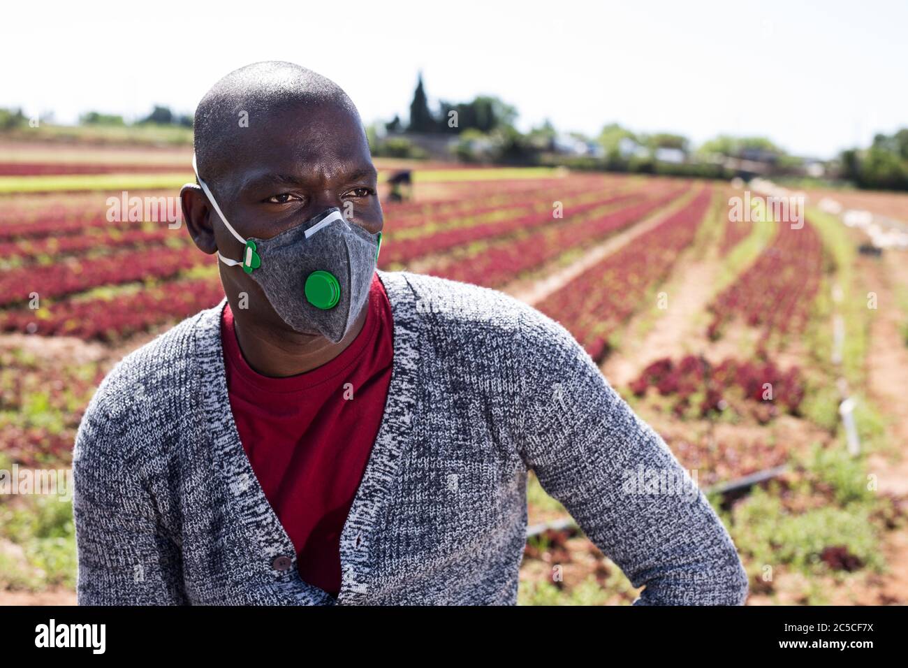 Portrait of african american farmer in breathing valve respirator on background of farm field on sunny spring day. Concept of coronavirus infection pr Stock Photo