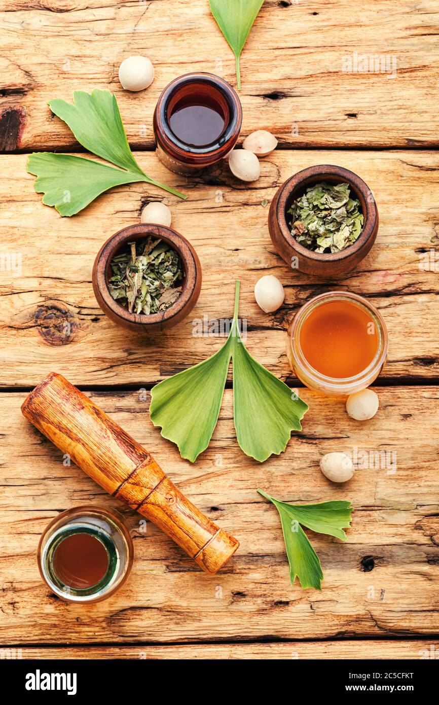 Healing properties of seeds and leaves of ginkgo biloba in herbal medicine. Stock Photo