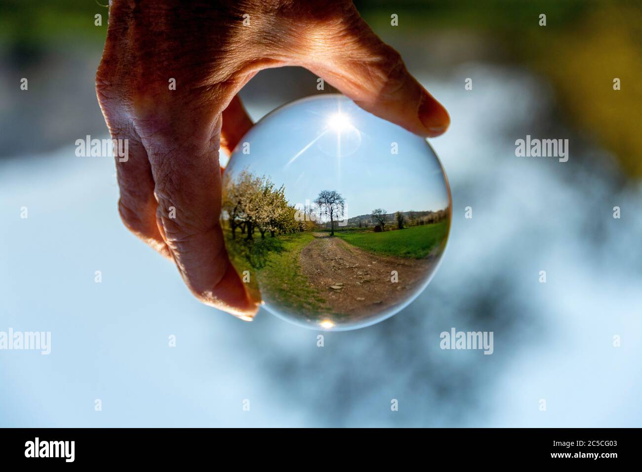 Closeup of the view of a field in a crystal sphere Stock Photo