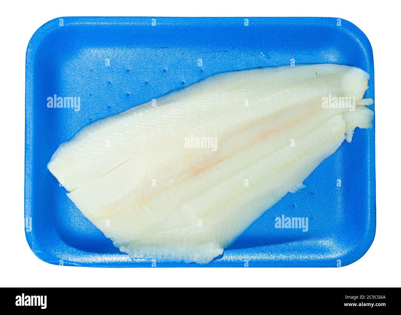 Raw seafood, fresh halibut fish on plastic blue disposable plate