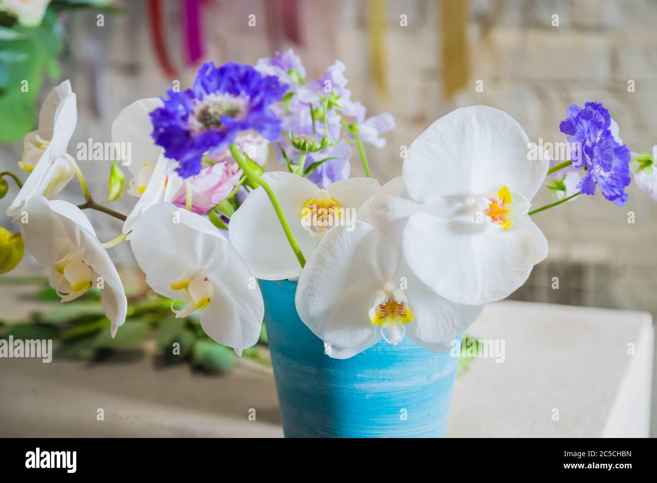 Colorful beautiful flowers: white orchids and purple scabiosas in pot at studio, flower shop - close up. Floristry, romantic, holiday, birthday Stock Photo