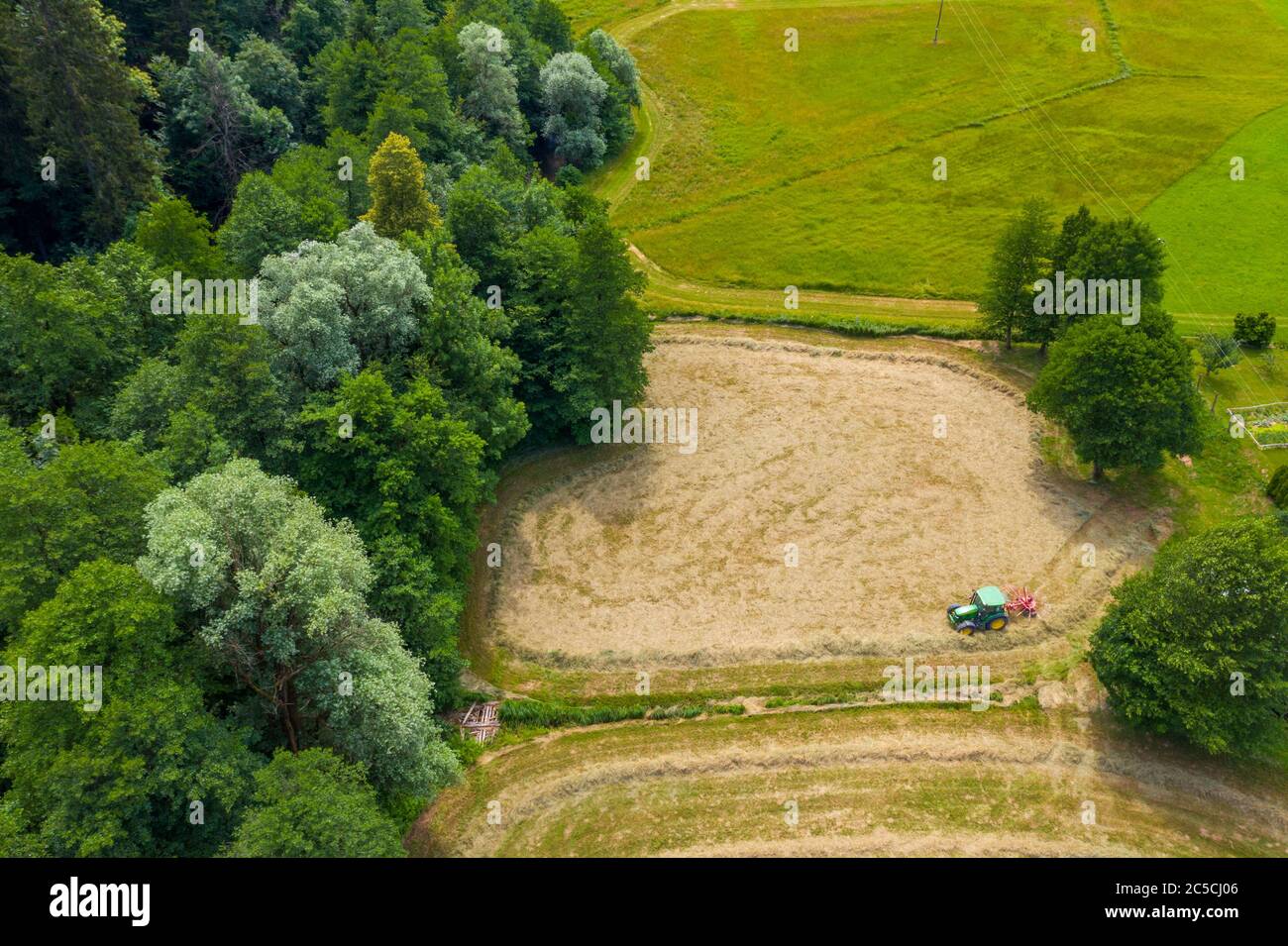 Farmer harvesting hay on the grass field with green forest around