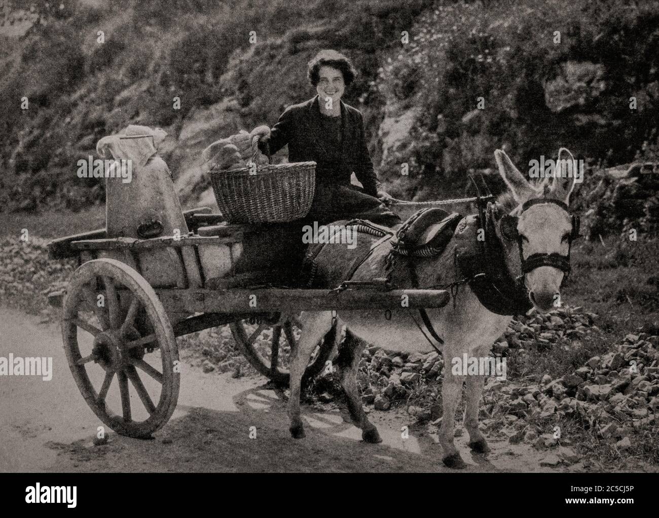 An early 1920's view of an Irish woman in County Tipperary riding to the local creamery  on a traditional cart pulled by donkey power, with a churn of fresh milk. Originally photographed by Clifton Adams (1890-1934) for 'Ireland: The Rock Whence I Was Hewn', a National Geographic Magazine feature from March 1927. Stock Photo