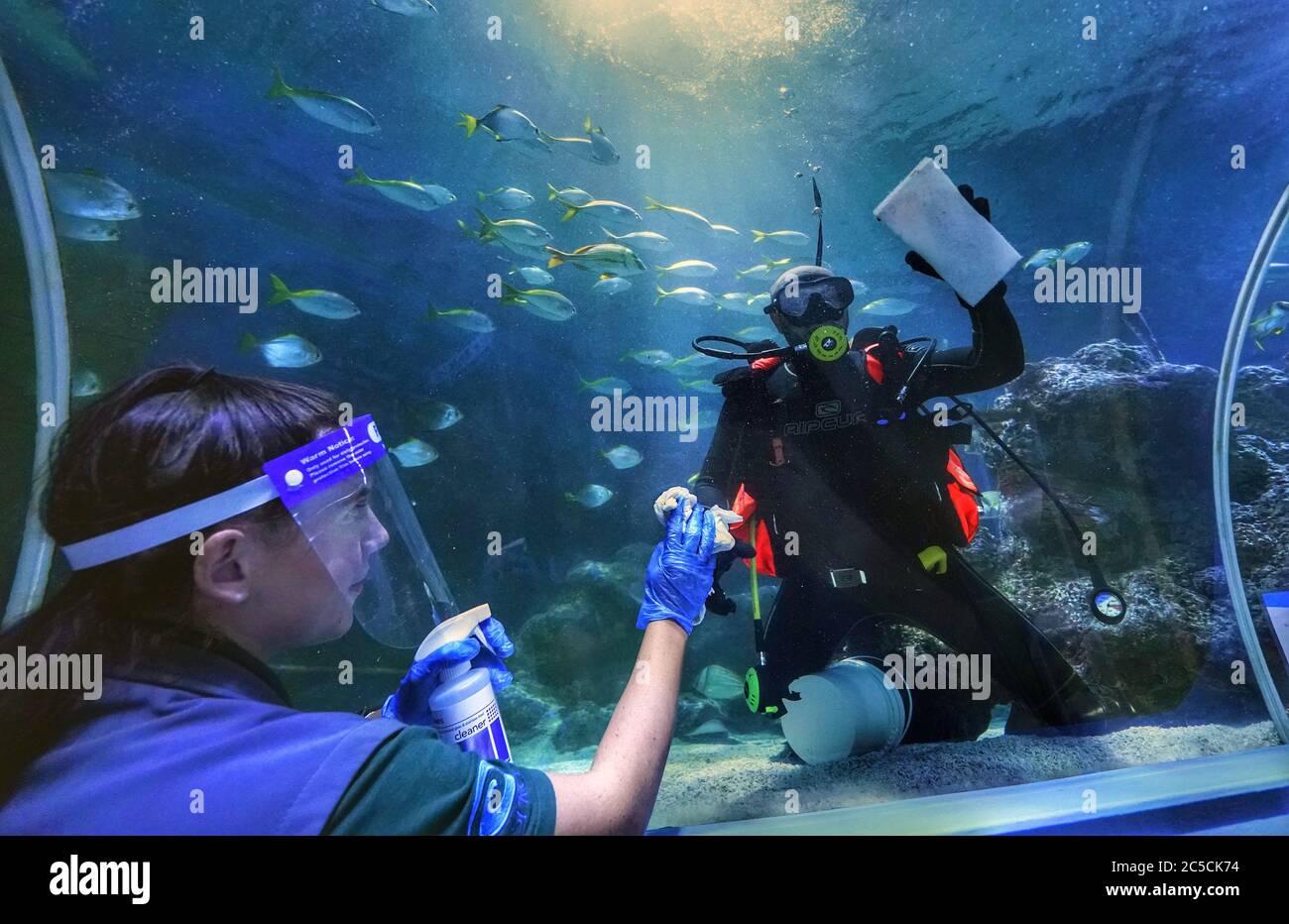 Susie Lovvick-Earle, a member of staff at Tynemouth Aquarium in North Shields, wears personal protective equipment (PPE) to clean the windows of the ocean tank along with a diver, as it prepares to open on Saturday after further coronavirus lockdown restrictions are lifted in England. Stock Photo