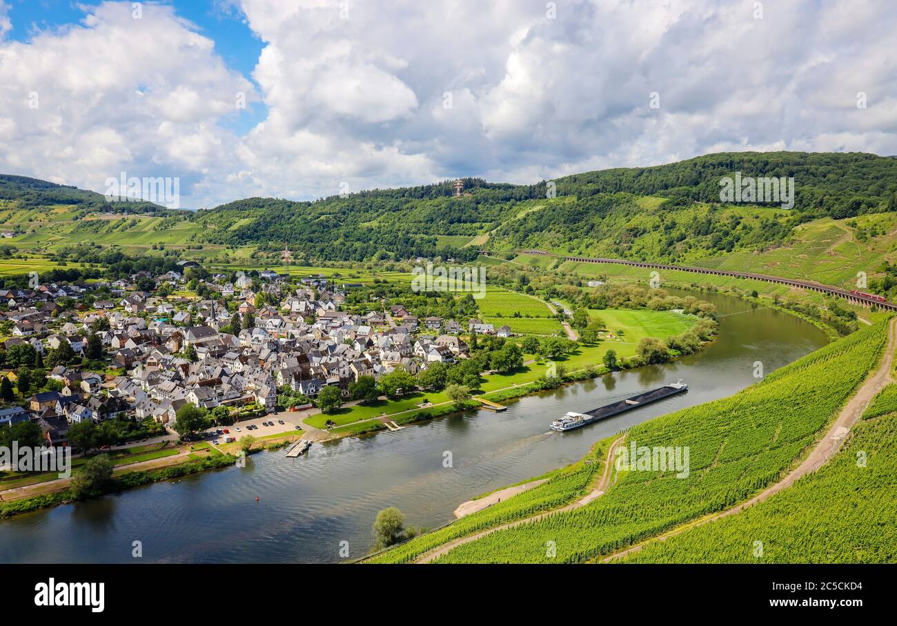 PŸnderich, Rhineland-Palatinate, Germany - Vineyards on the Moselle. Puenderich, Rheinland-Pfalz, Deutschland - Weinberge an der Mosel. Stock Photo