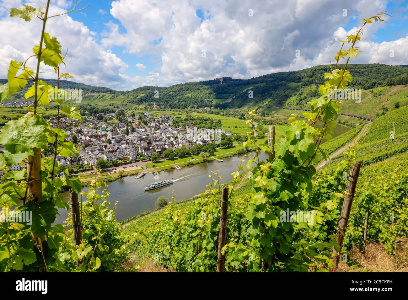 PŸnderich, Rhineland-Palatinate, Germany - Vineyards on the Moselle. PŸnderich, Rheinland-Pfalz, Deutschland - Weinberge an der Mosel. Stock Photo