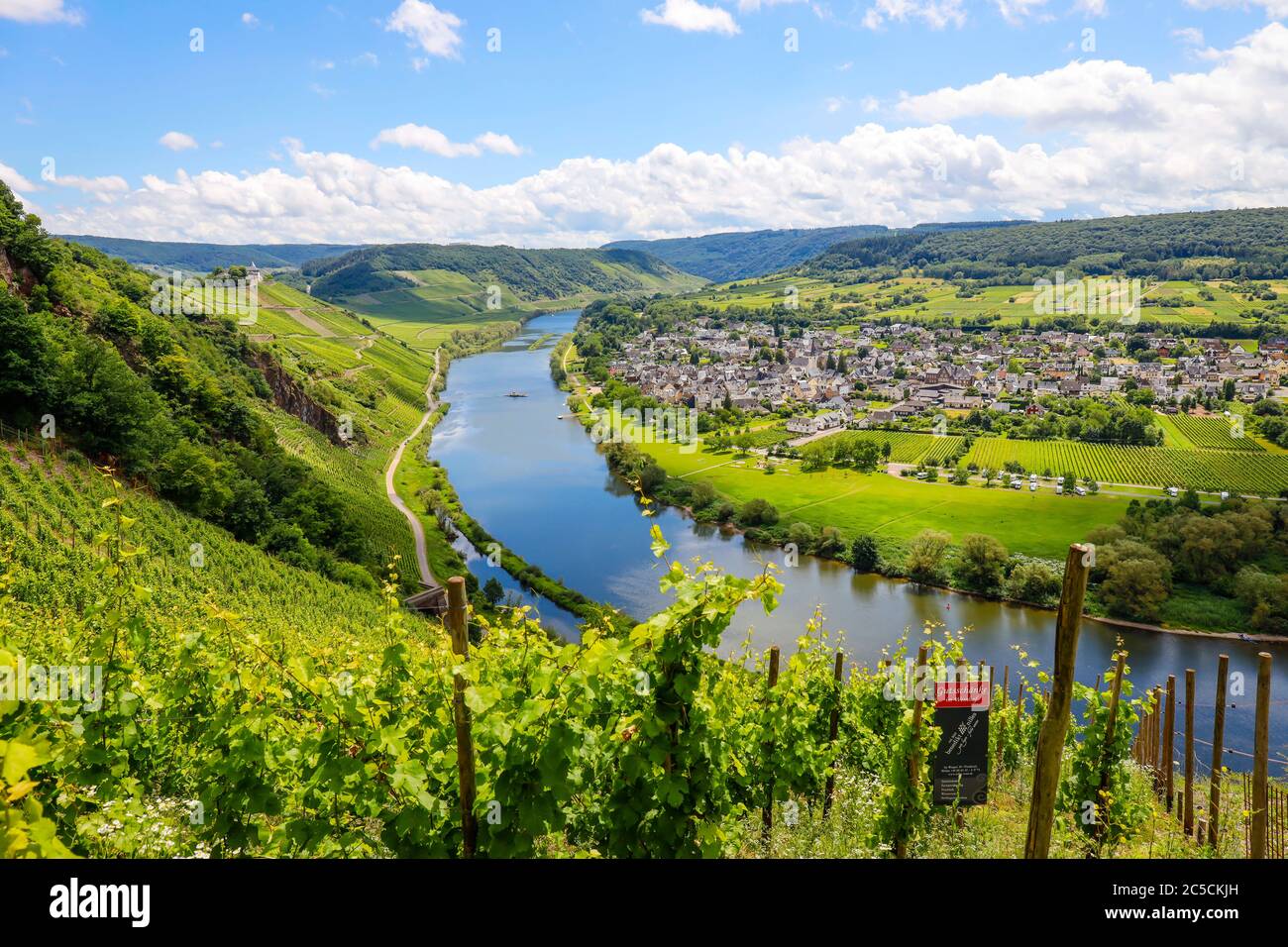 PŸnderich, Rhineland-Palatinate, Germany - Marienburg above vineyards on the Mosel. PŸnderich, Rheinland-Pfalz, Deutschland - Marienburg ueber Weinber Stock Photo