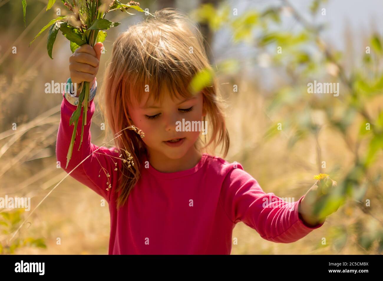 little girl picking up a flowers in the grass Stock Photo - Alamy