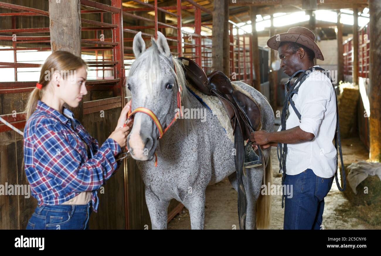 Farm workers man and woman preparing horse harness at stable Stock
