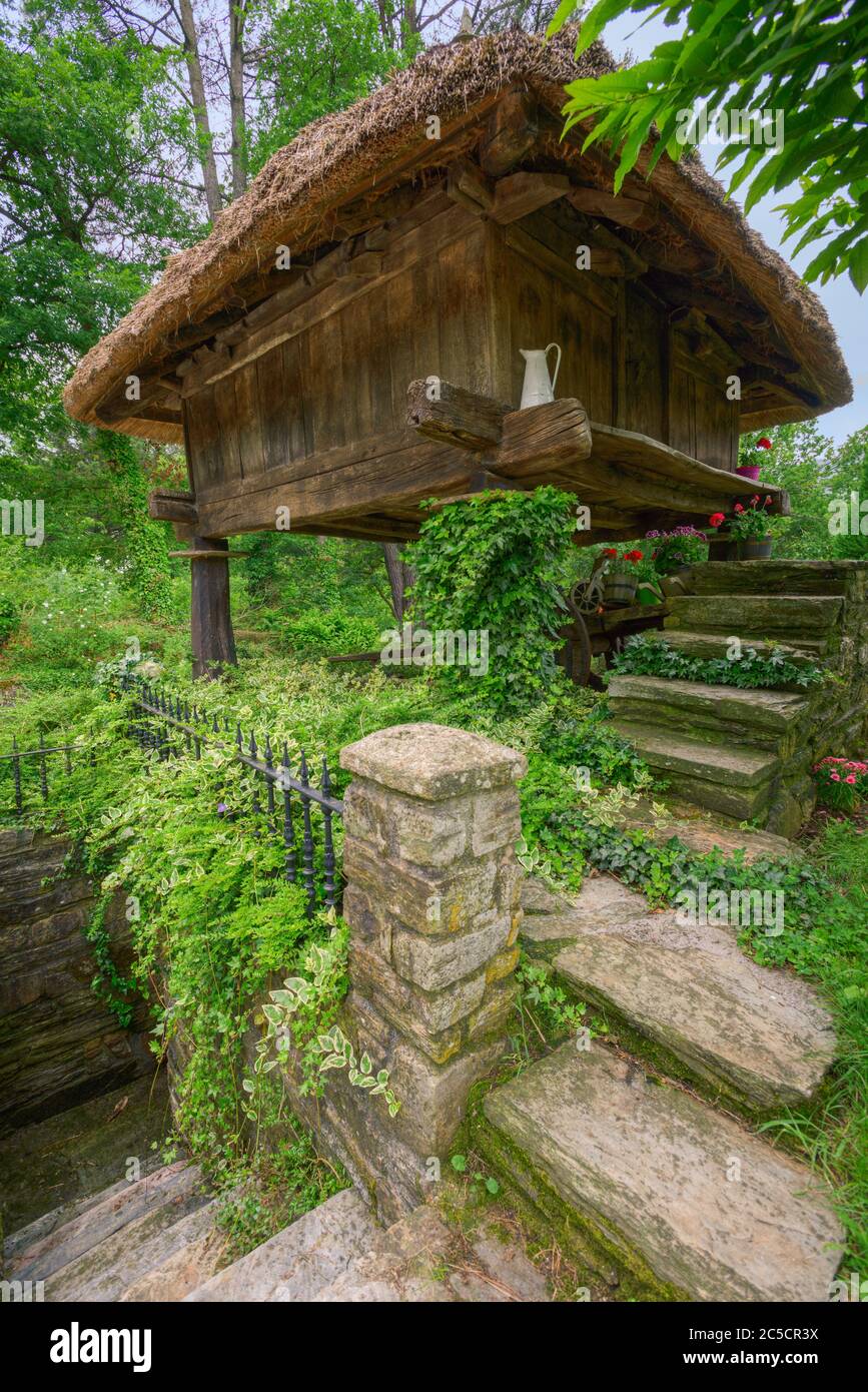 Traditional Horreo raised on wooden pillars with a thatched roof to protect crops from rodents in Becerrea Galicia Stock Photo