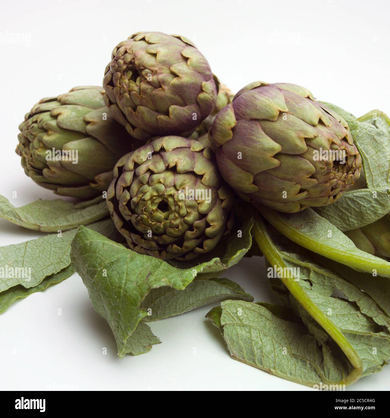 Closeup shot of artichokes isolated on the white background Stock Photo