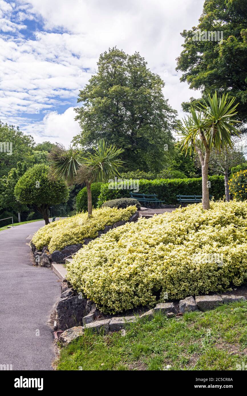 Alexendra Gardens in Penarth, overlooking the Esplanade and Penarth Pier. This was early July in Summer 2020. Stock Photo