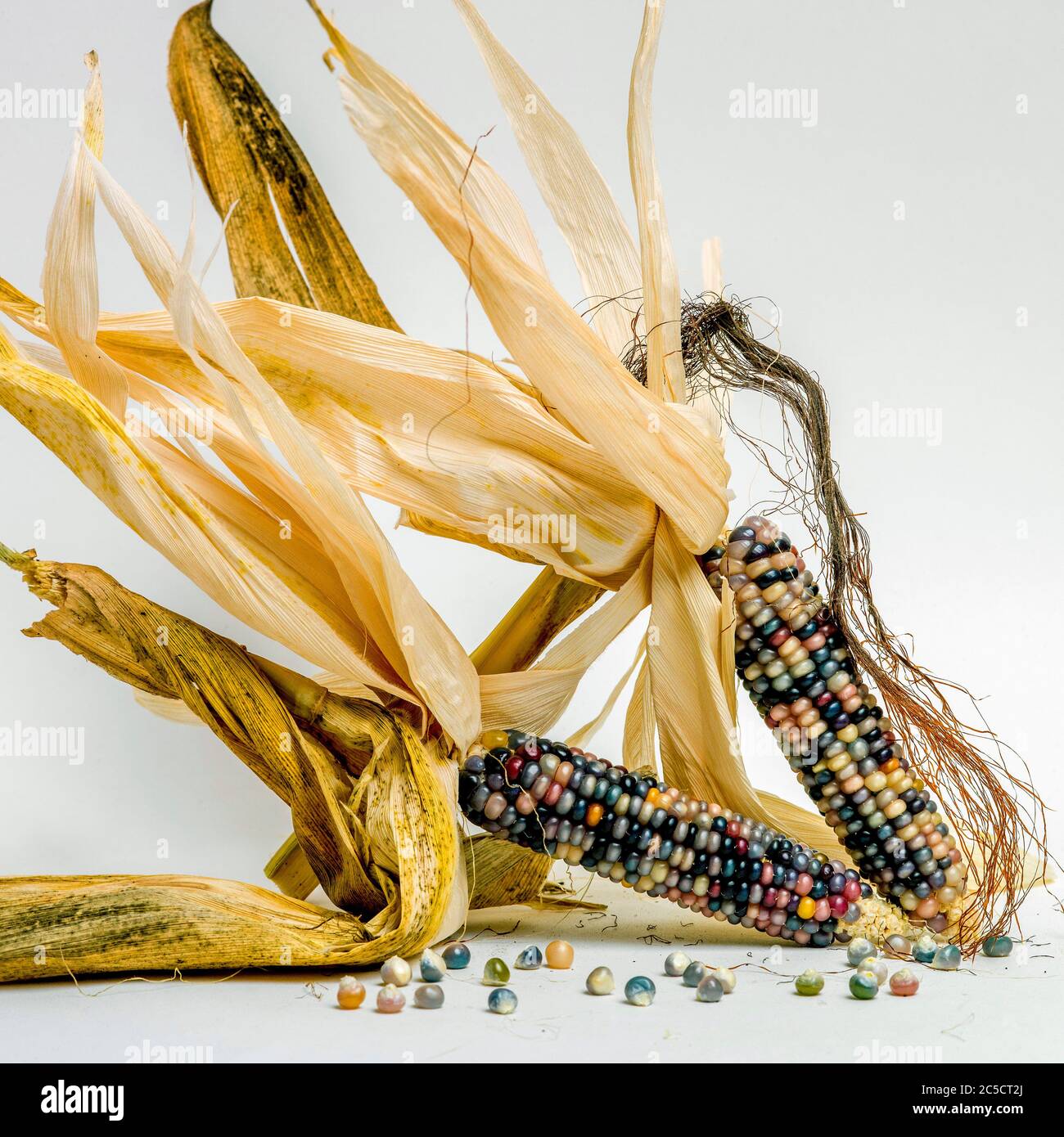 Indian corn on the cob hi-res stock photography and images - Alamy