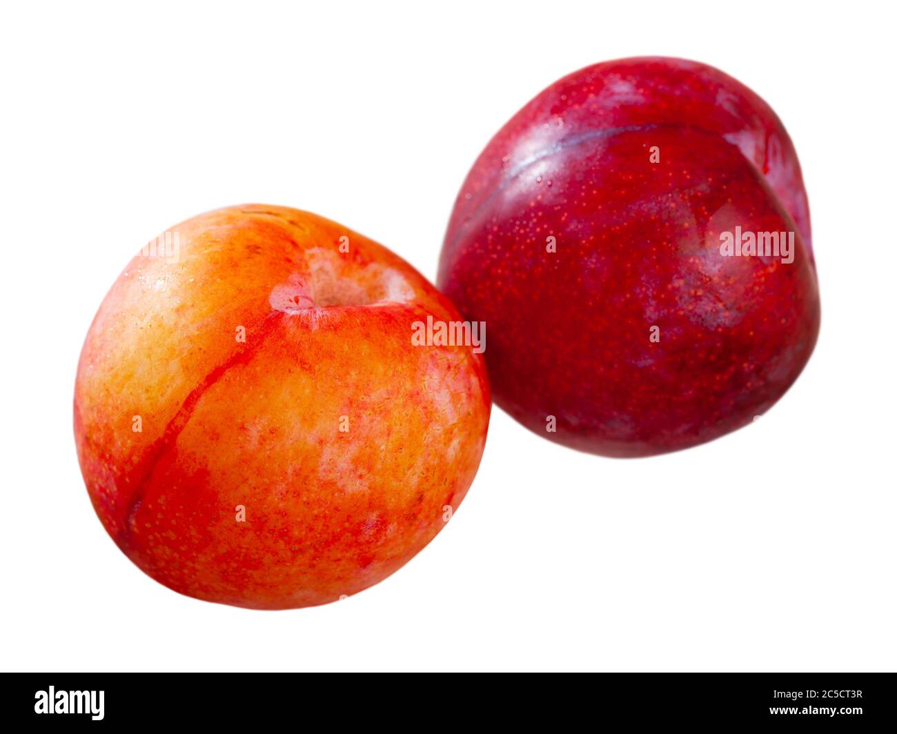 Fresh sweet red plums. Concept of health benefits of fruits. Isolated
