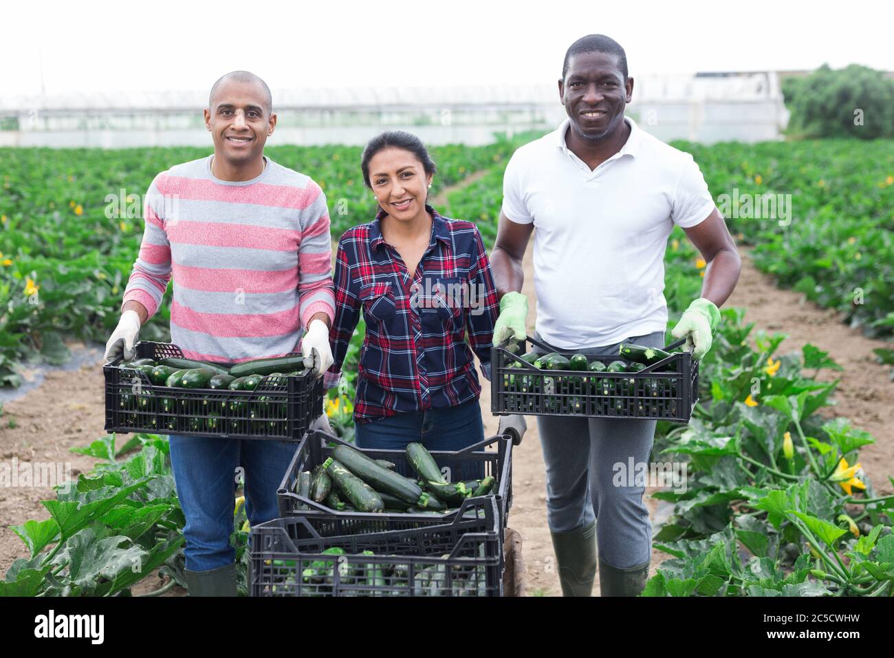 Portrait of successful male and female farmers of different ...