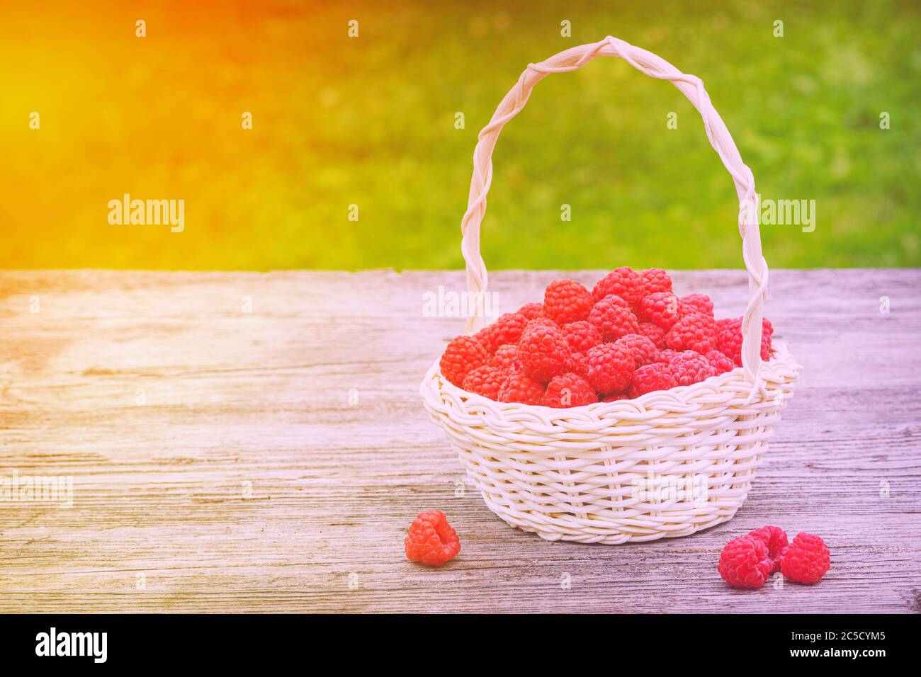 Red raspberries. Ripe berry in wicker basket. Raspberries in basket on the table.  Vintage basket with raspberries. Stock Photo
