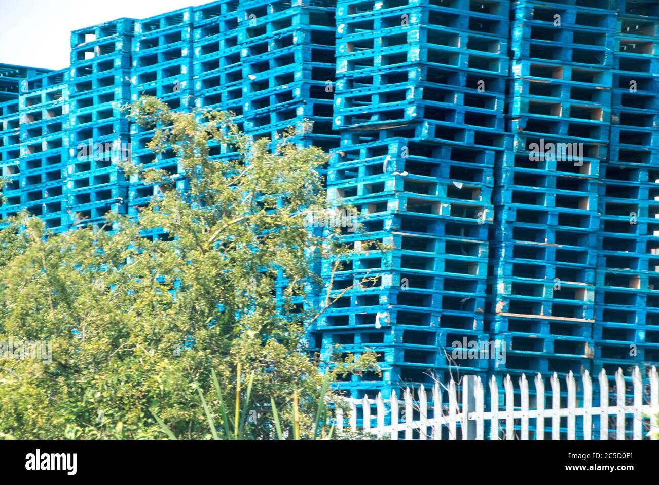 A huge stack of blue pallets within an industrial area Stock Photo Alamy