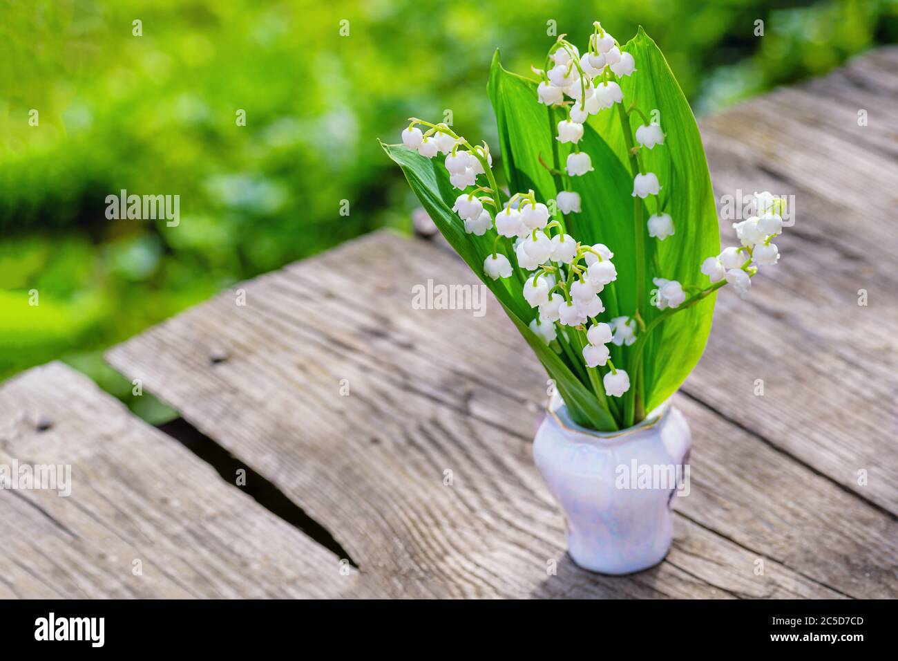 Lily of the valley. Flower Spring Sun White Green Background Horizontal. Sun rays fall on a beautiful spring blooming flower wooden table. Stock Photo