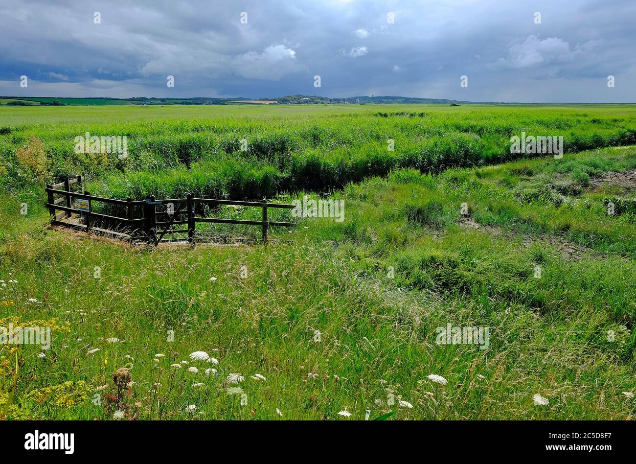 cley-next-the-sea nature reserve, north norfolk, england Stock Photo