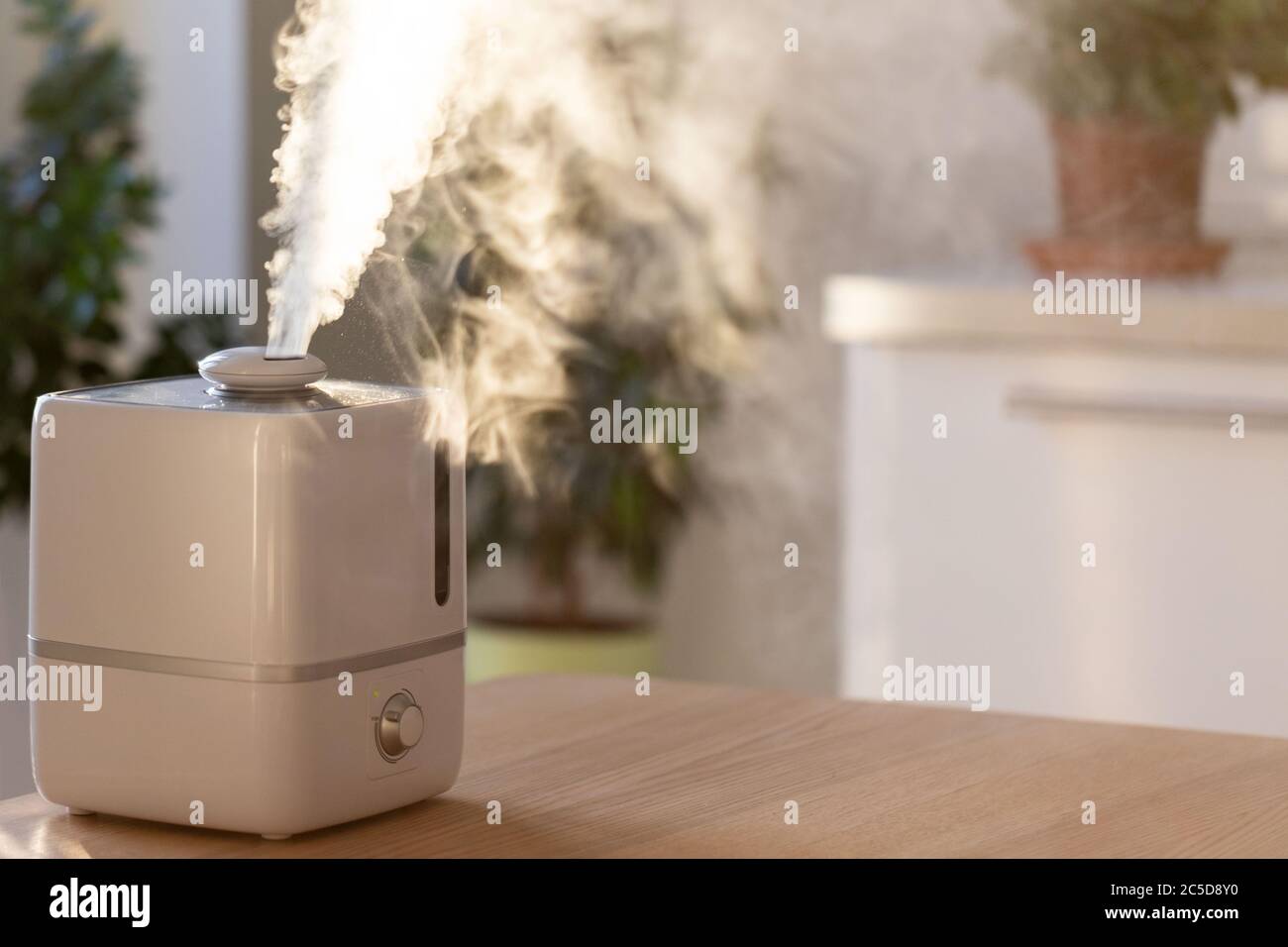 Close up of aroma oil diffuser on the table at home, steam from the air humidifier, houseplants on background. Ultrasonic technology, increase in air Stock Photo