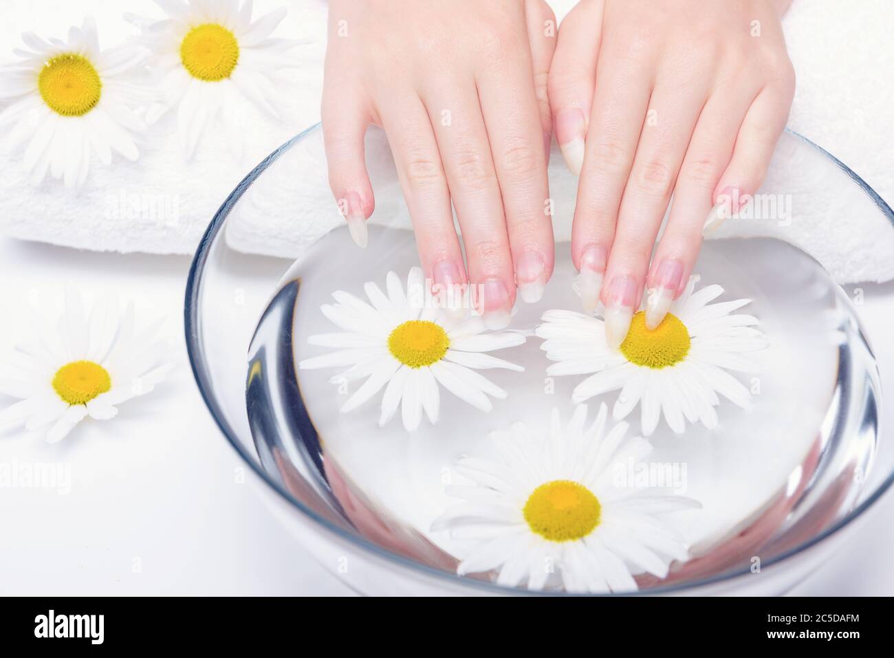 Concept of healthy hands and nails. Spa treatments for nails close-up. Procedure for treating nails in spa salon. Close-up hands of young woman with n Stock Photo