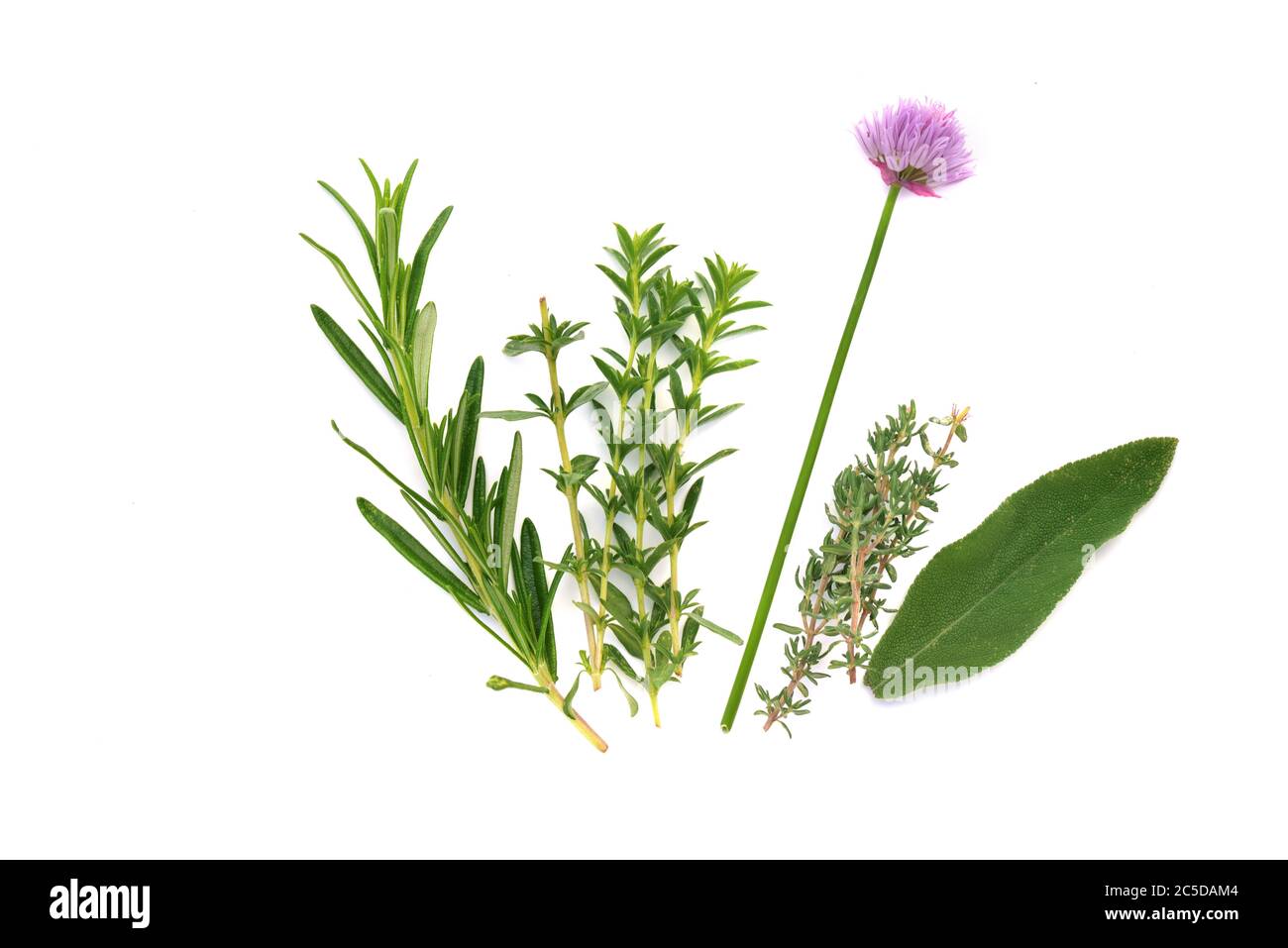 various fresh aromatic herbs with chive blooming on white background Stock Photo