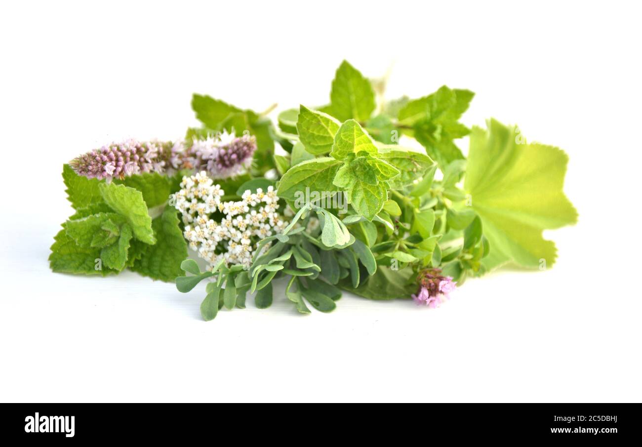 Fresh herbs from the garden on white background Stock Photo