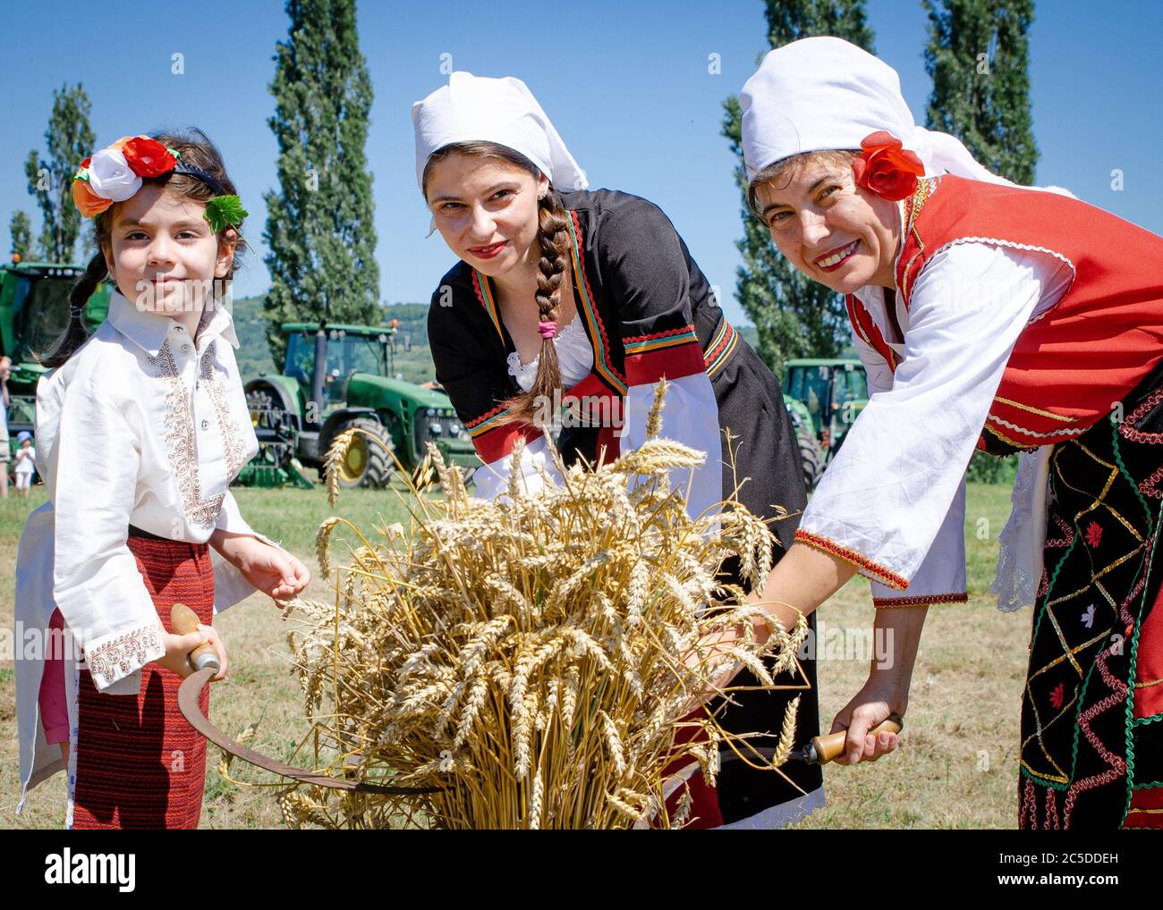3 Bulgarian ladies make a wheat sheaf and celebrate traditional custom of wheat harvest in countryside village. Stock Photo