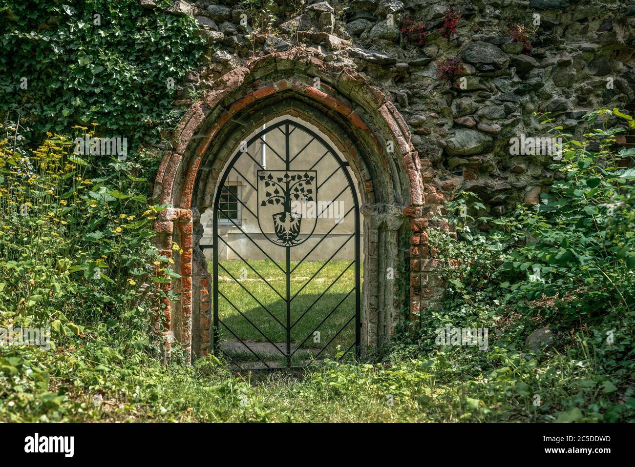 Old metal gate in a wall overgrown with ivy  of a ruin of a historical abbey in Lindow Stock Photo