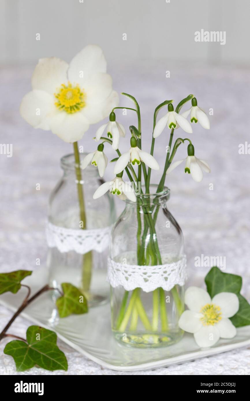 bouquet of snow drops and helleborus niger flower in glass bottle Stock Photo