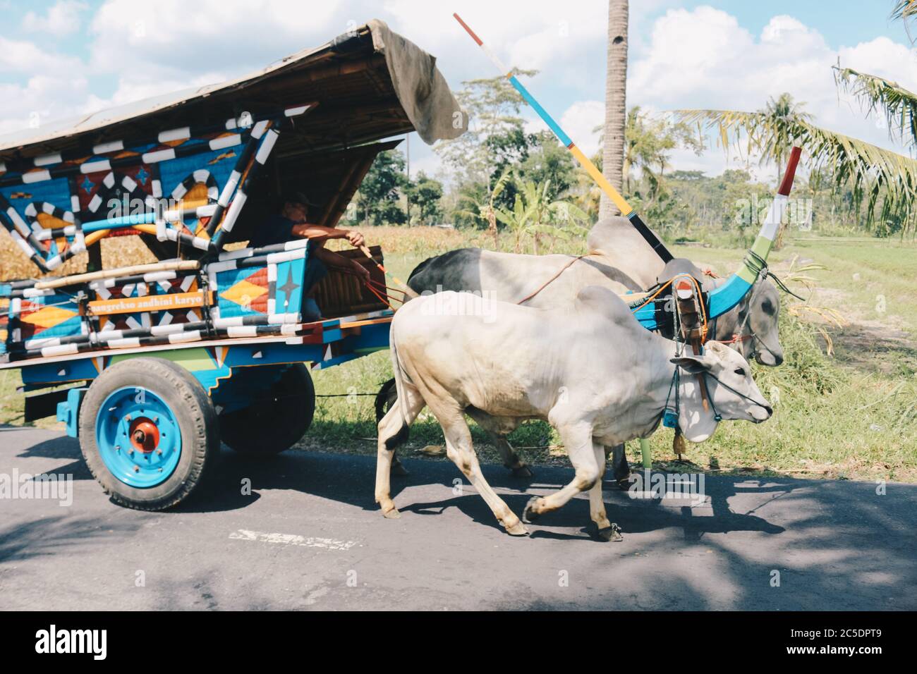 Ox cart caravan hi-res stock photography and images - Alamy