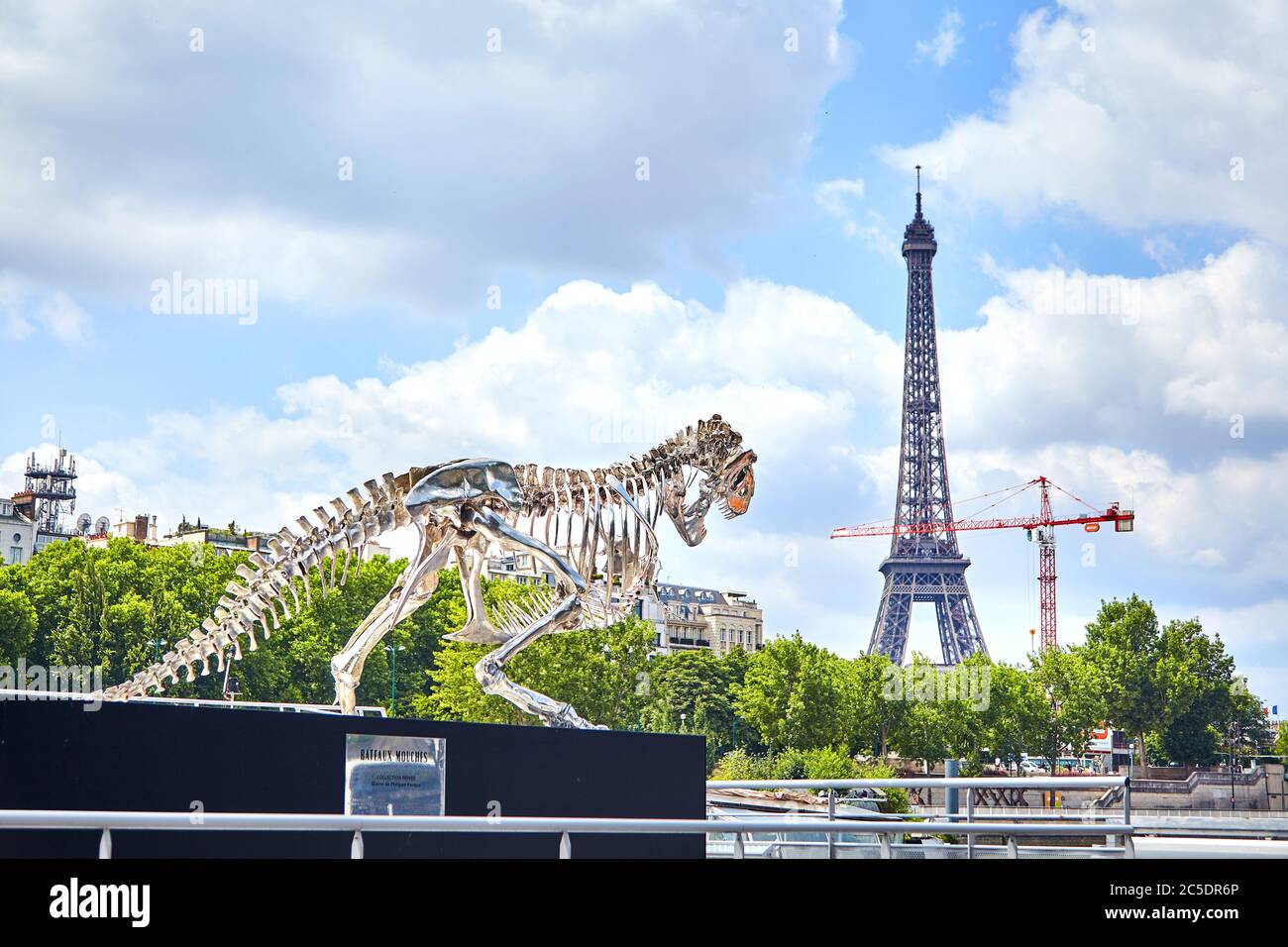 skeleton of a tyrannosaurus rex