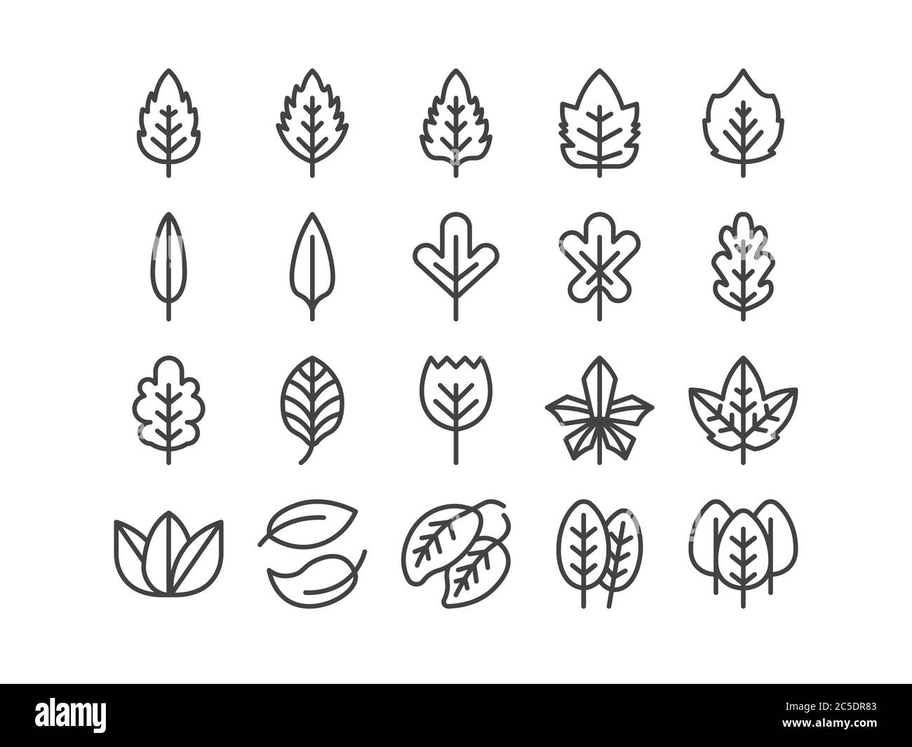 Leaf Outline line Icon Set Autumn fall and Spring Concept Minimal Style Illustration Vector EPS 10. Editable Stroke Stock Vector