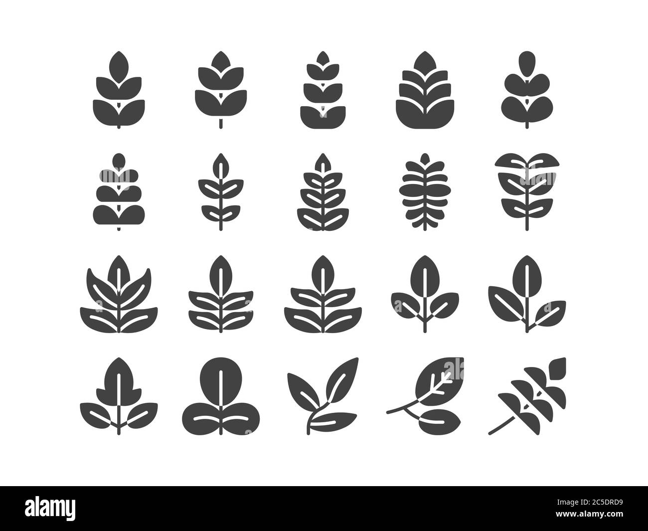 Compound Leaf Solid Glyph Icon Set Spring Concept Luxury Illustration Vector EPS 10. Stock Vector