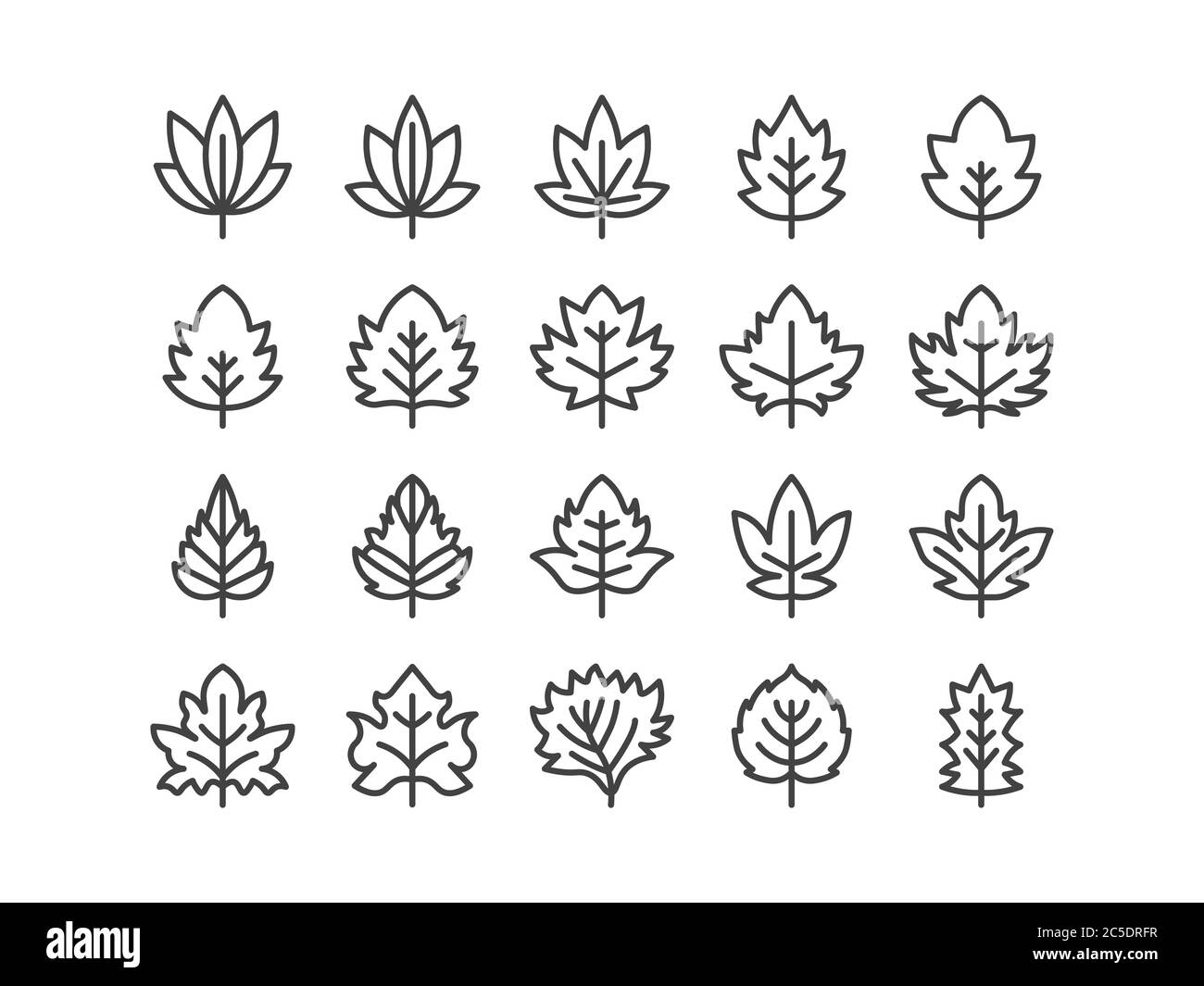 Maple and Other Leaf Outline line Icon Set Autumn fall and Spring Concept Minimal Style Illustration Vector EPS 10. Editable Stroke Stock Vector